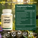 lymphatic-support-herbal-supplements-150-4.jpg