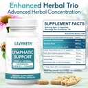 lymphatic-drainage-supplements-for-lymph-2.jpg