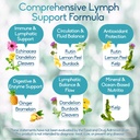lymphatic-drainage-supplements-for-lymph-3.jpg