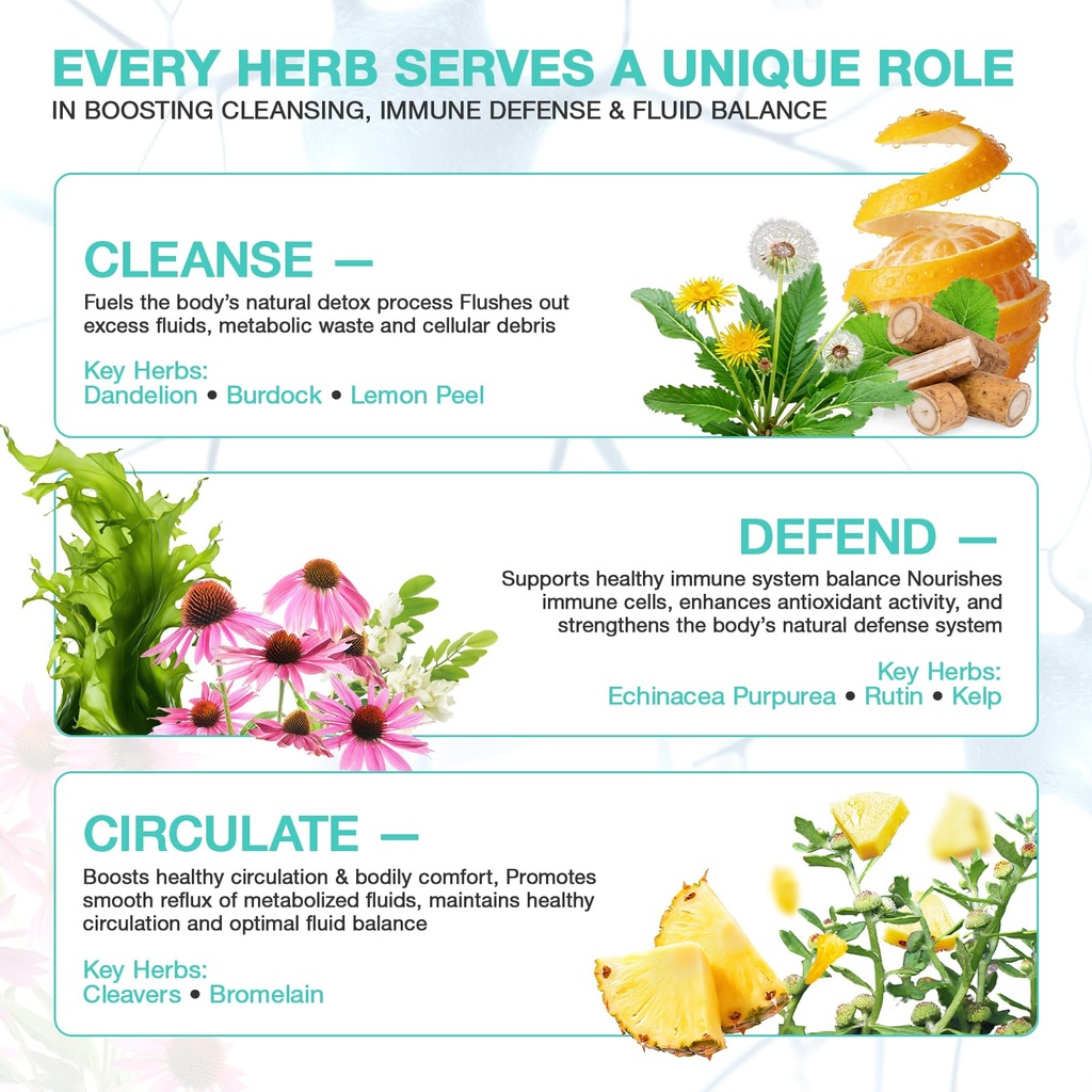 lymphatic-drainage-supplements-herbal-co-6.jpg