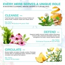 lymphatic-drainage-supplements-herbal-co-6.jpg