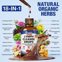 lymphatic-drainage-drops-1800mg-18-herba-2.jpg