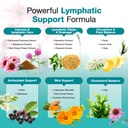 lymphatic-drainage-supplements-45-day-su-3.jpg