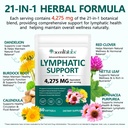 lymphatic-drainage-supplements-2-pack-42-4.jpg