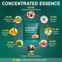 lymphatic-drainage-supplement-21-in-1-ad-2.jpg