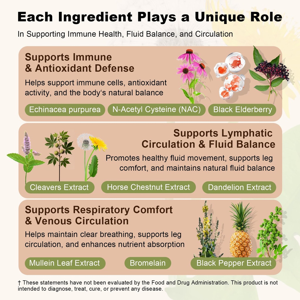 lymphatic-drainage-supplement-natural-he-3.jpg