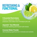 force-factor-liquid-labs-electrolytes-po-3.jpg