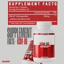 huge-supplements-ksm-66-ashwaghanda-high-4.jpg