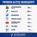 vitality-boost-system-500mg-ashwagandha--2.jpg