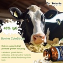 totaria-bovine-colostrum-supplement-caps-2.jpg