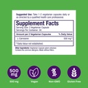 paradise-herbs-l-carnosine-super-potent--5.jpg