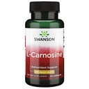 swanson-ultra-l-carnosine-500mg-60-caps-4.jpg