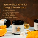 ameo-life-hydrate-electrolyte-powder-cle-2.jpg
