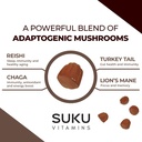 suku-vitamins-super-mushroom-reishi-chag-5.jpg