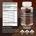 suku-vitamins-super-mushroom-reishi-chag-4.jpg