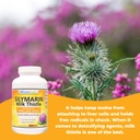 wonder-labs-silymarin-milk-thistle-suppo-6.jpg