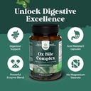 bundle-of-digestive-enzymes-with-ox-bile-4.jpg