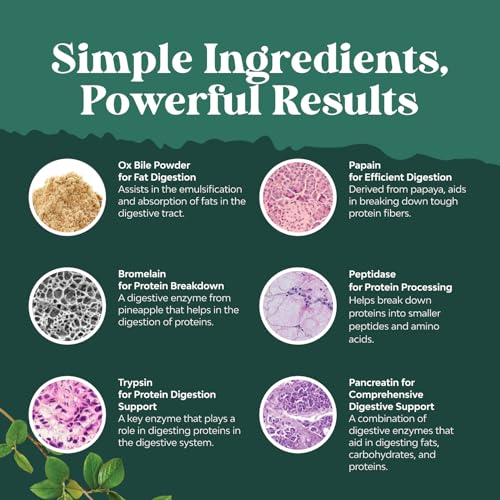 bundle-of-digestive-enzymes-with-ox-bile-6.jpg