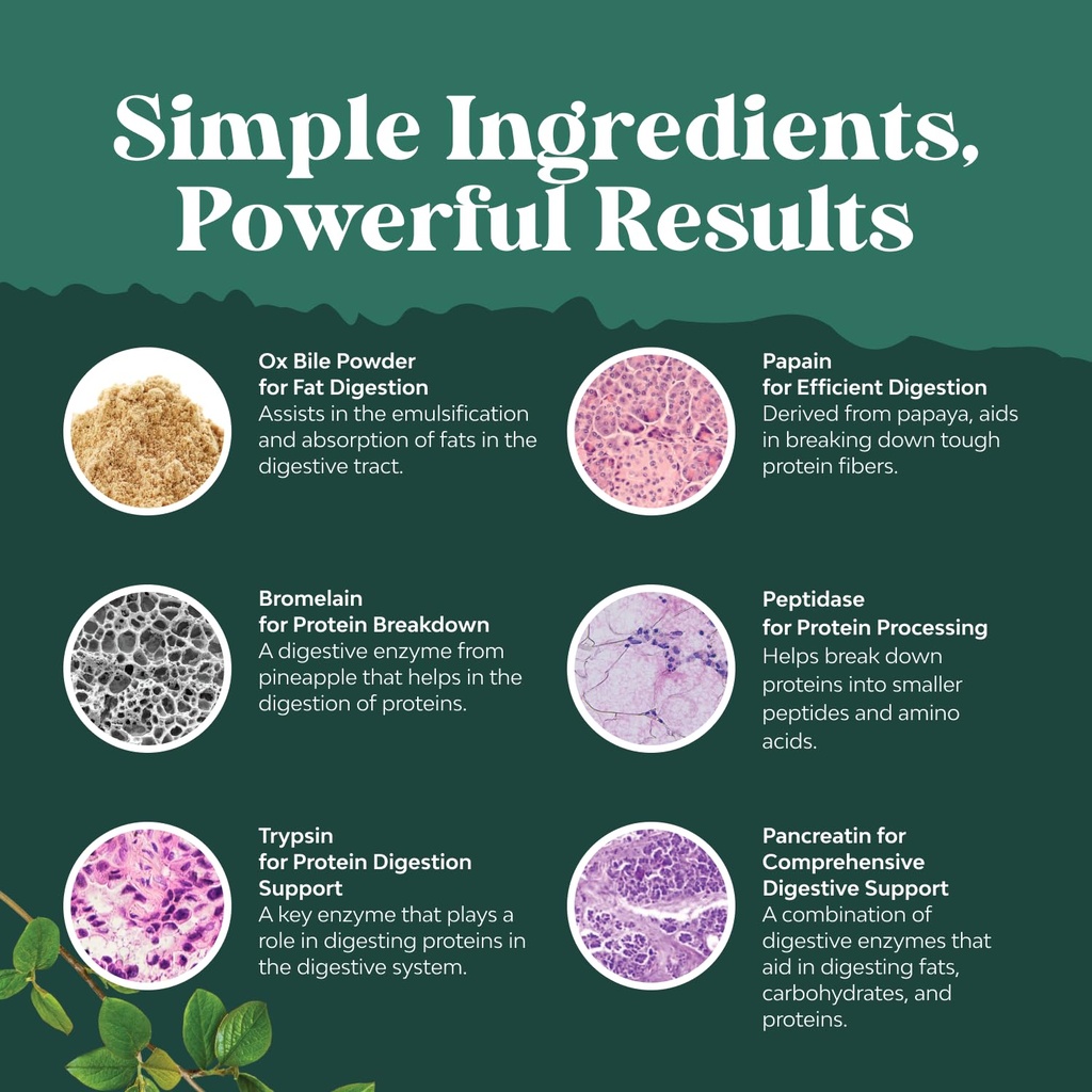 bundle-of-digestive-enzymes-with-ox-bile-6.jpg