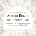 anima-mundi-apothecary-lucid-dream-elixi-5.jpg