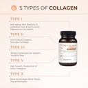 multi-collagen-complex-type-i-ii-iii-v-x-4.jpg