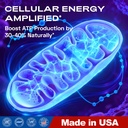 bluesun-methylene-blue-capsules-usp-grad-4.jpg