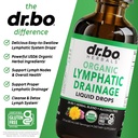 lymphatic-drainage-supplements-drops-org-4.jpg