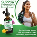 lymphatic-drainage-supplements-drops-org-3.jpg