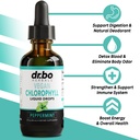 oregano-oil-organic-liquid-drops-chlorop-3.jpg