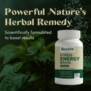 stress-energy-brain---fatigue-supplement-5.jpg