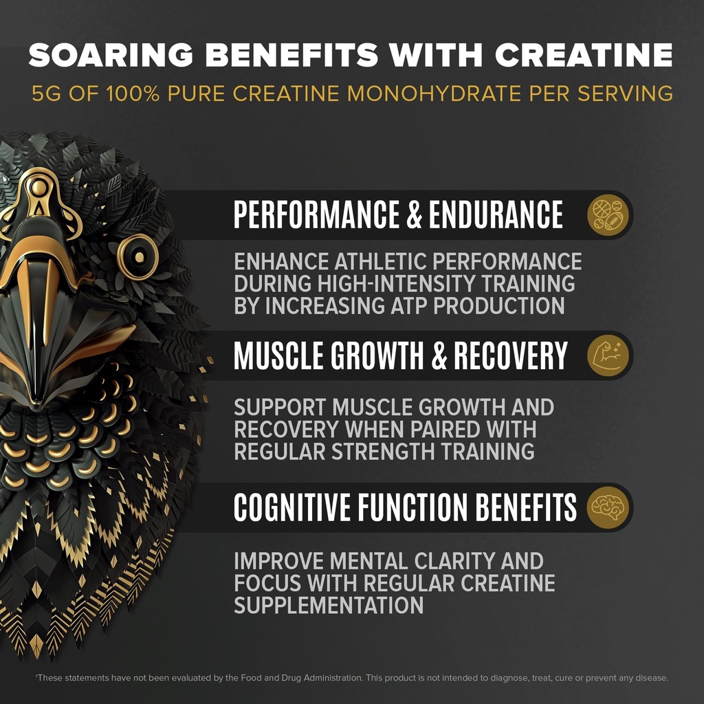 birdman-falcon-performance-vegan-protein-5.jpg