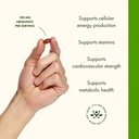 swanson-ubiquinol-100-mg-for-heart-healt-4.jpg