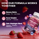 migcopat-men-s-multi-brain-gummies-bundl-4.jpg