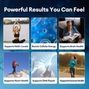 migcopat-magnesium-complex-nmn-supplemen-4.jpg