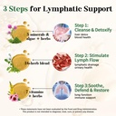 migcopat-26-in-1-lymphatic-drainage-drop-5.jpg