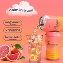 recess-mood-magnesium-adaptogen-drink-re-6.jpg