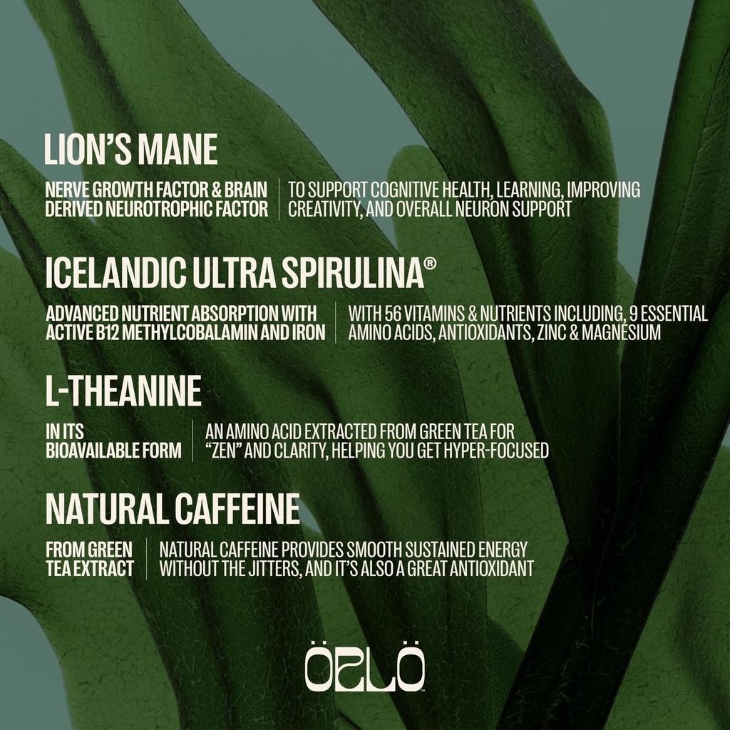 orlo-brain-performance-bar-vegan-protein-5.jpg
