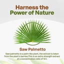 go-nutra-saw-palmetto-extract-powder-pot-2.jpg