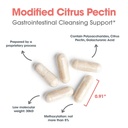 nutricology-modified-citrus-pectin-1-5-g-5.jpg