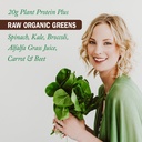 garden-of-life-raw-organic-protein-green-4.jpg