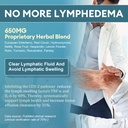 totaria-lymph-md-lymphatic-drainage-supp-5.jpg