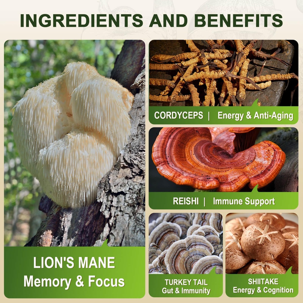 zebora-lions-mane-supplement-capsules-mu-5.jpg