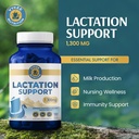 vykee-nutrition-lactation-support-1-300--2.jpg