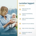 vykee-nutrition-lactation-support-1-300--6.jpg