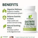 gastritis-y-ulceras-digestive-support-sl-4.jpg