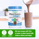 orgain-protein-powder-collagen-creamy-ch-5.jpg