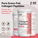 zint-collagen-peptides-powder-16-ounce-a-3.jpg
