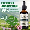 organic-lymphatic-drainage-drops-lymphat-2.jpg
