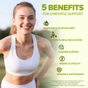 lymphatic-drainage-supplement-natural-he-2.jpg