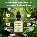 lymphatic-drainage-drops-2000mg-herbal-b-2.jpg